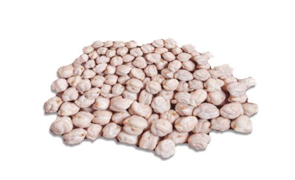 Chickpeas Kabuli Variety