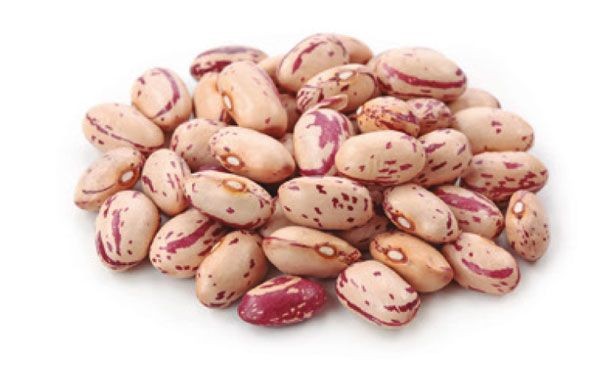 Cranberry Beans