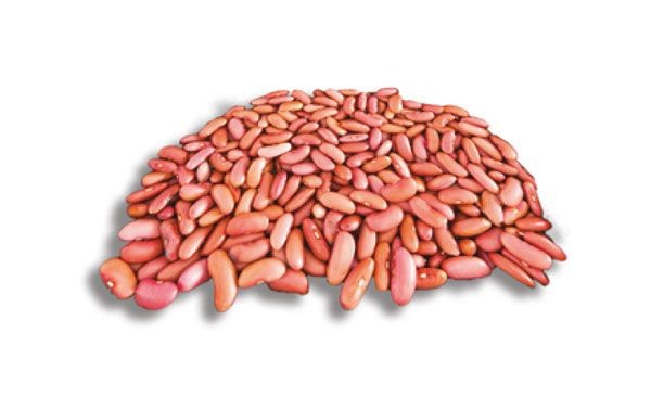 Red Beans (Light Red)
